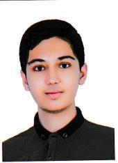محمد مهدی کریمی